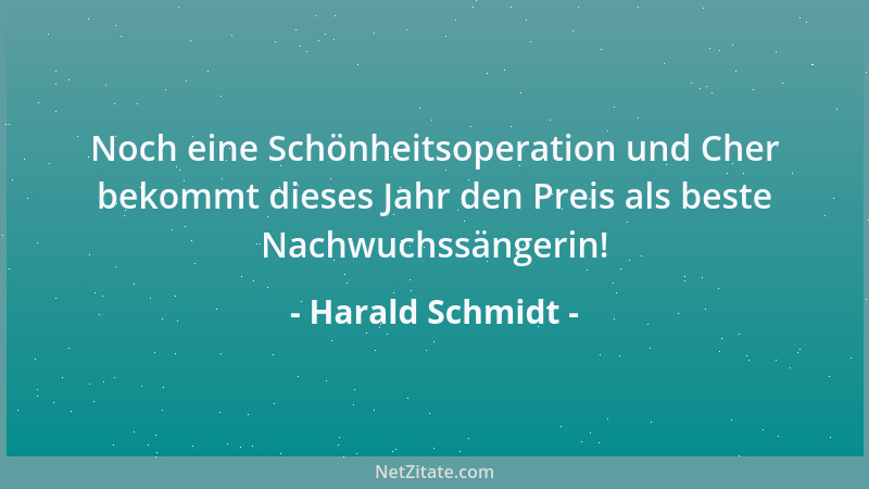 Harald Schmidt - Noch eine Schönheitsoperation und Cher bekommt dieses Jahr den Preis als beste Nachwuchssängerin!...