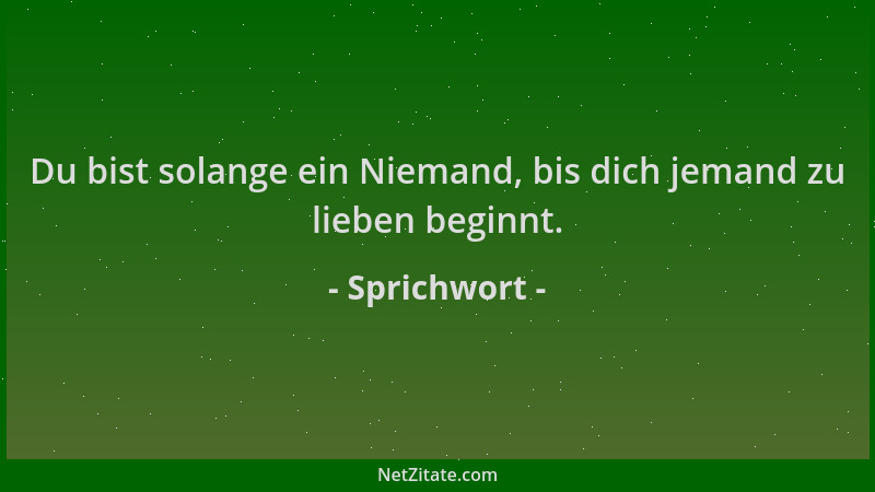 Sprichwort - Du bist solange ein Niemand, bis dich jemand zu lieben beginnt....
