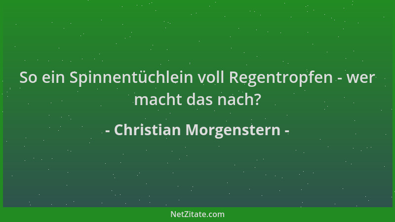Christian Morgenstern - So ein Spinnentüchlein voll Regentropfen - wer macht das nach?...