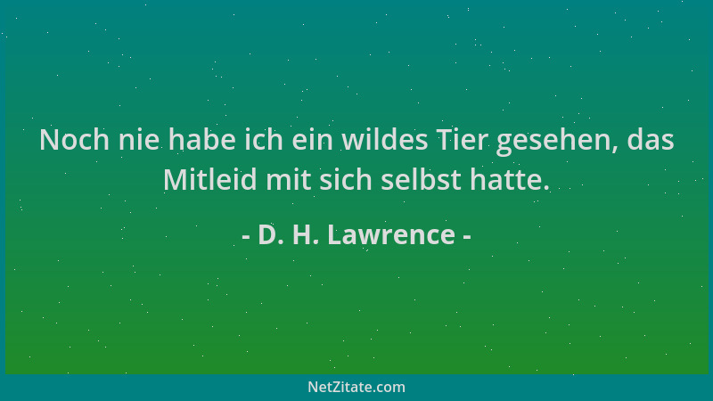 D. H. Lawrence - Noch nie habe ich ein wildes Tier gesehen, das Mitleid mit sich selbst hatte....