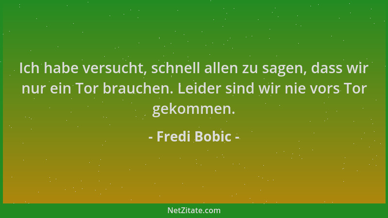 Fredi Bobic - Ich habe versucht, schnell allen zu sagen, dass wir nur ein Tor brauchen. Leider sind wir nie vors Tor gekomm...