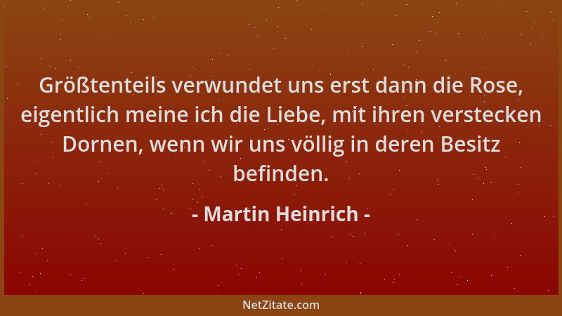 Martin Heinrich - Größtenteils verwundet uns erst dann die Rose, eigentlich meine ich die Liebe, mit ihren verstecken Dorne...
