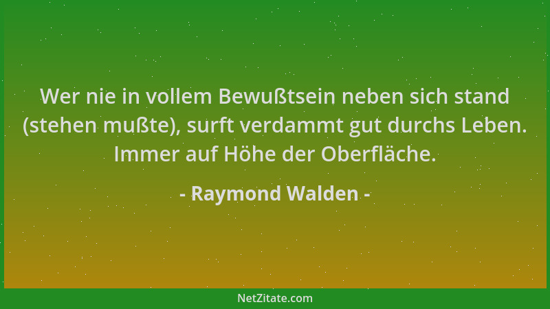 Raymond Walden - Wer nie in vollem Bewußtsein neben sich stand (stehen mußte), surft verdammt gut durchs Leben. Immer auf H...