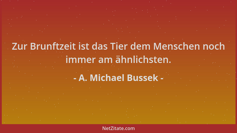 A. Michael Bussek - Zur Brunftzeit ist das Tier dem Menschen noch immer am ähnlichsten....