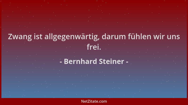 Bernhard Steiner - Zwang ist allgegenwärtig, darum fühlen wir uns frei....