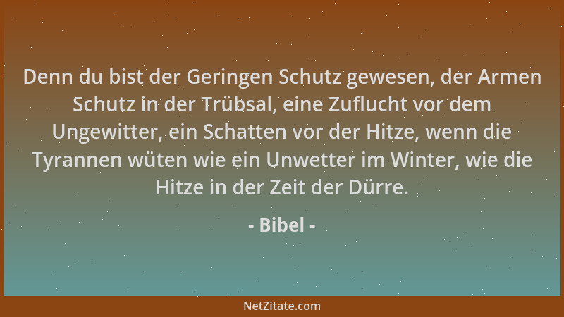 Bibel - Denn du bist der Geringen Schutz gewesen, der Armen Schutz in der Trübsal, eine Zuflucht vor dem Ungewitter, ein Sc...
