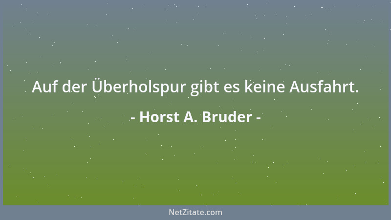 Horst A. Bruder - Auf der Überholspur gibt es keine Ausfahrt....