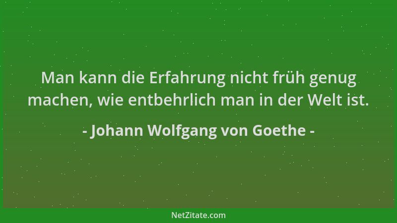 Johann Wolfgang von Goethe - Man kann die Erfahrung nicht früh genug machen, wie entbehrlich man in der Welt ist....
