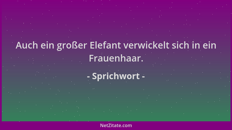 Sprichwort - Auch ein großer Elefant verwickelt sich in ein Frauenhaar....
