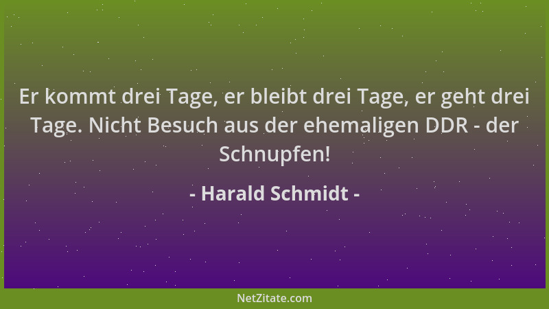 Harald Schmidt - Er kommt drei Tage, er bleibt drei Tage, er geht drei Tage. Nicht Besuch aus der ehemaligen DDR - der Schn...