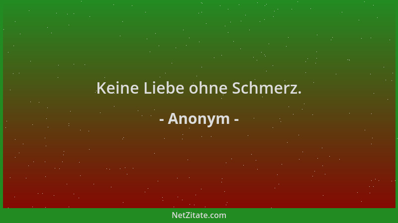 Anonym - Keine Liebe ohne Schmerz....