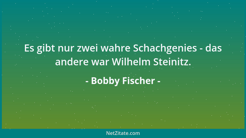 Bobby Fischer - Ich kenne Menschen, die allen Willen der Welt besitzen und doch nicht Schach spielen können....