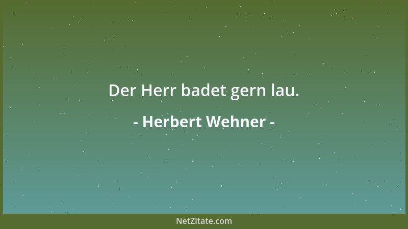 Herbert Wehner - Der Herr badet gern lau....