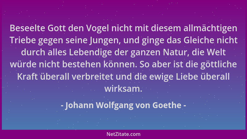 Johann Wolfgang von Goethe - Beseelte Gott den Vogel nicht mit diesem allmächtigen Triebe gegen seine Jungen, und ginge das...