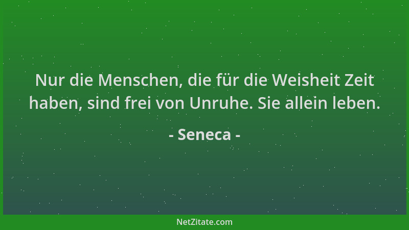 Seneca - Nur die Menschen, die für die Weisheit Zeit haben, sind frei von Unruhe. Sie allein leben....