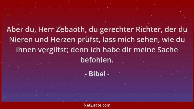 Bibel - Aber du, Herr Zebaoth, du gerechter Richter, der du Nieren und Herzen prüfst, lass mich sehen, wie du ihnen vergilt...
