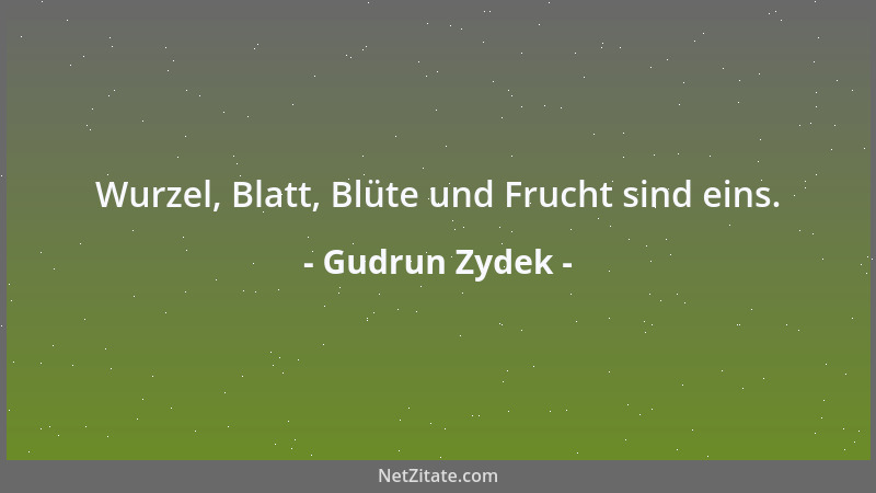 Gudrun Zydek - Wurzel, Blatt, Blüte und Frucht sind eins....