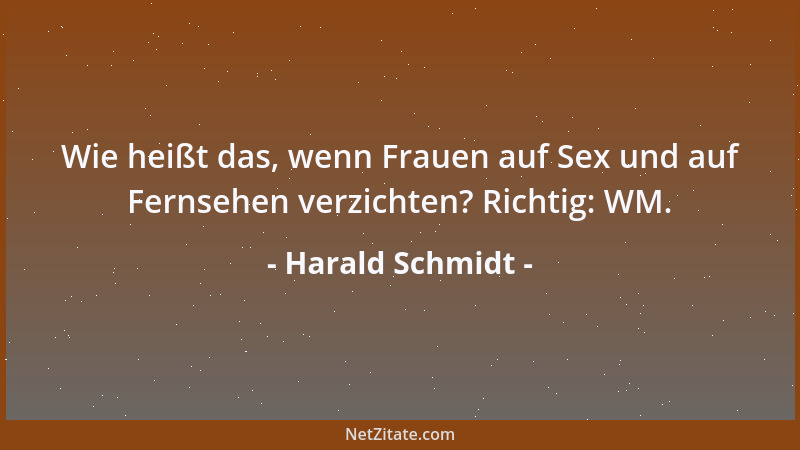 Harald Schmidt - Wie heißt das, wenn Frauen auf Sex und auf Fernsehen verzichten? Richtig: WM....