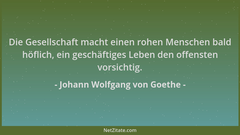 Johann Wolfgang von Goethe - Die Gesellschaft macht einen rohen Menschen bald höflich, ein geschäftiges Leben den offensten...