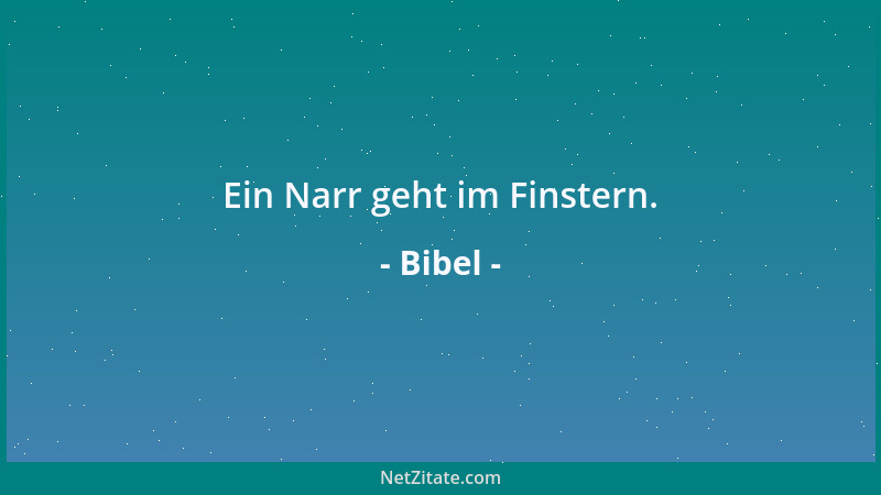 Bibel - Ein Narr geht im Finstern....