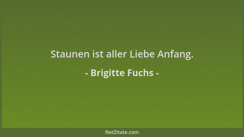 Brigitte Fuchs - Staunen ist aller Liebe Anfang....