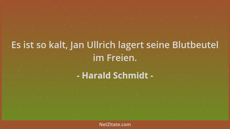 Harald Schmidt - Es ist so kalt, Jan Ullrich lagert seine Blutbeutel im Freien....
