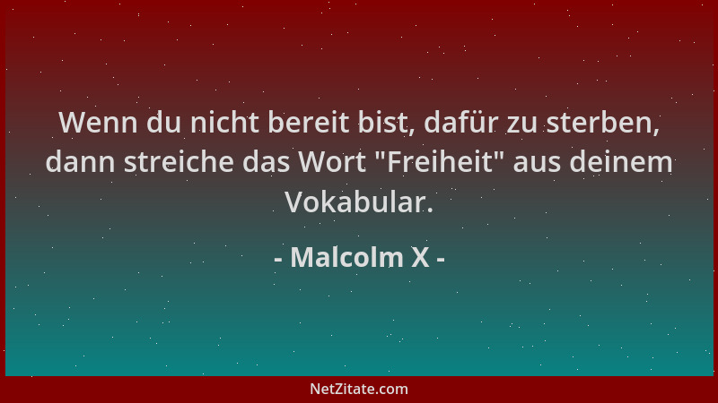 Malcolm X - Wenn du nicht bereit bist, dafür zu sterben, dann streiche das Wort  "Freiheit " aus deinem Vokabular....