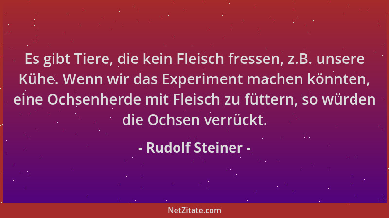 Rudolf Steiner - Es gibt Tiere, die kein Fleisch fressen, z.B. unsere Kühe. Wenn wir das Experiment machen könnten, eine Oc...