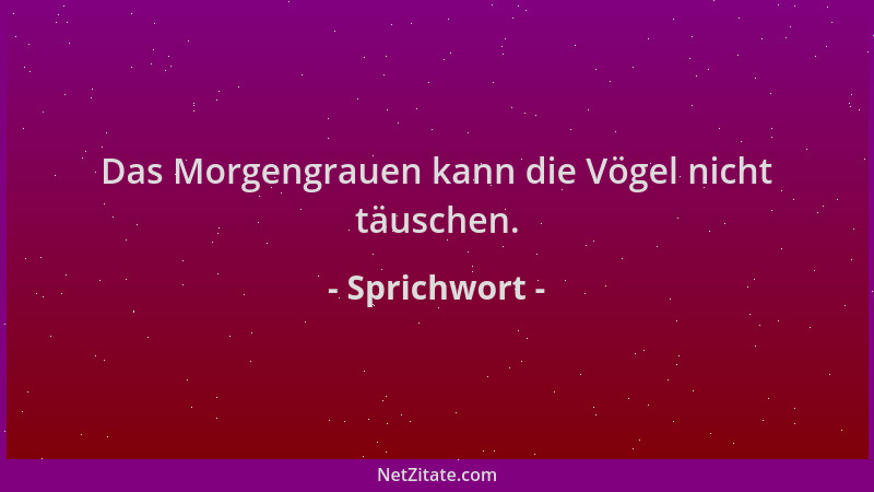 Sprichwort - Das Morgengrauen kann die Vögel nicht täuschen....