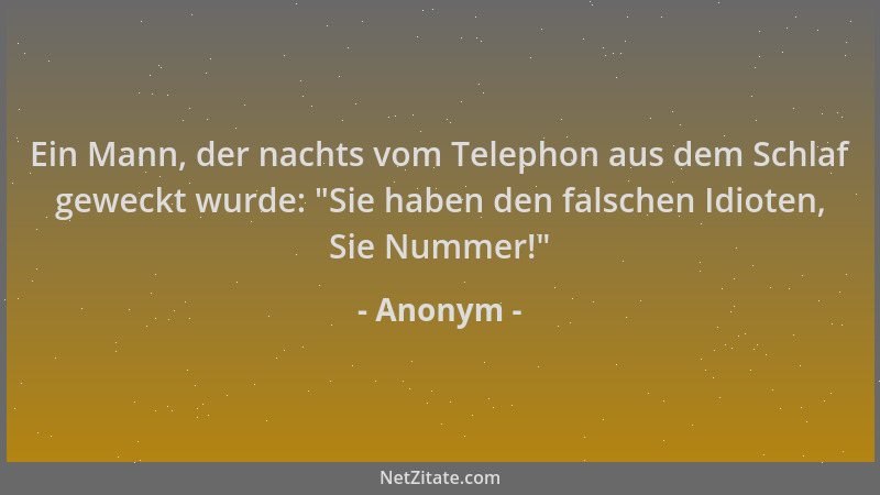 Anonym - Ein Mann, der nachts vom Telephon aus dem Schlaf geweckt wurde:  "Sie haben den falschen Idioten, Sie Nummer! "...