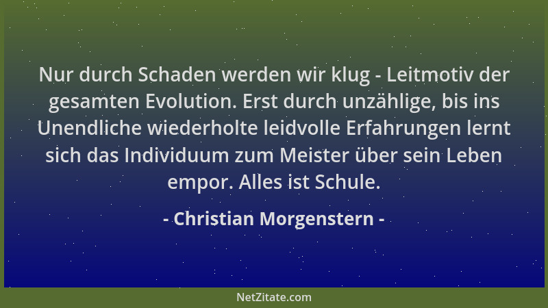 Christian Morgenstern - Nur durch Schaden werden wir klug - Leitmotiv der gesamten Evolution. Erst durch unzählige, bis ins...