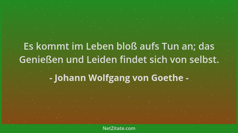Johann Wolfgang von Goethe - Es kommt im Leben bloß aufs Tun an; das Genießen und Leiden findet sich von selbst....
