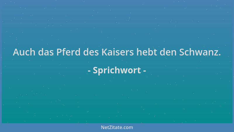 Sprichwort - Auch das Pferd des Kaisers hebt den Schwanz....