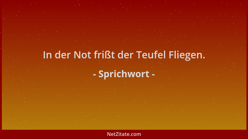 Sprichwort - In der Not frißt der Teufel Fliegen....