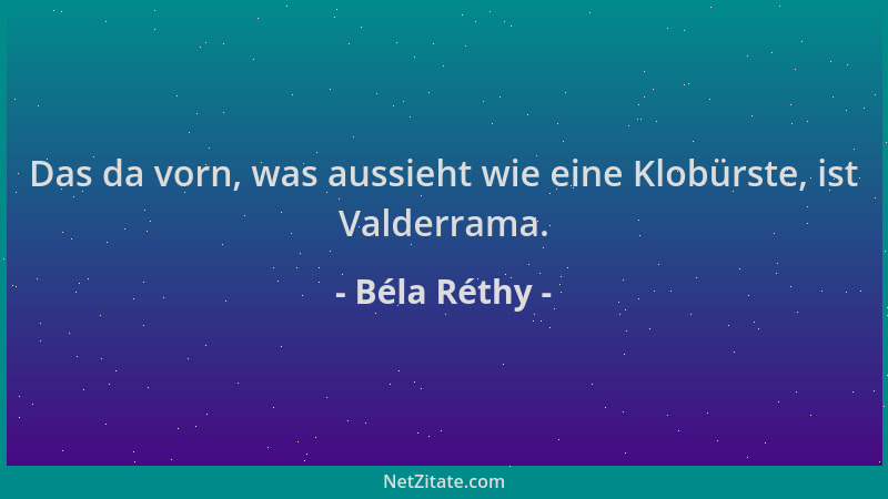 Béla Réthy - Das da vorn, was aussieht wie eine Klobürste, ist Valderrama....