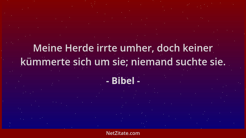 Bibel - Meine Herde irrte umher, doch keiner kümmerte sich um sie; niemand suchte sie....