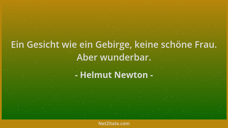 Helmut Newton - Ein Gesicht wie ein Gebirge, keine schöne Frau. Aber wunderbar....