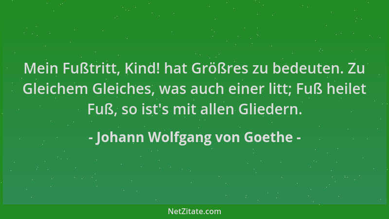 Johann Wolfgang von Goethe - Mein Fußtritt, Kind! hat Größres zu bedeuten. Zu Gleichem Gleiches, was auch einer litt; Fuß h...
