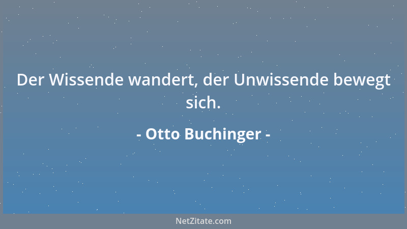 Otto Buchinger - Der Wissende wandert, der Unwissende bewegt sich....