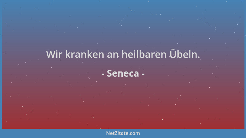 Seneca - Wir kranken an heilbaren Übeln....