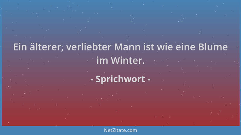 Sprichwort - Ein älterer, verliebter Mann ist wie eine Blume im Winter....