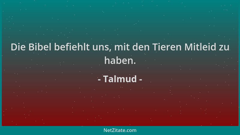 Talmud - Die Bibel befiehlt uns, mit den Tieren Mitleid zu haben....