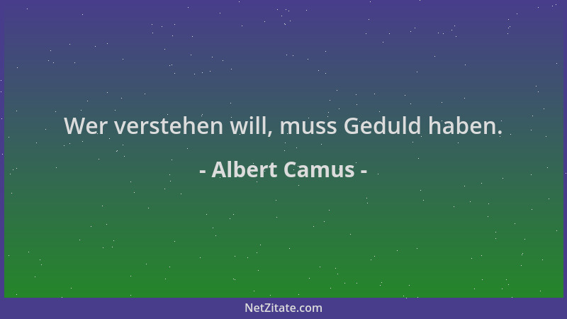 Albert Camus - Wer verstehen will, muss Geduld haben....