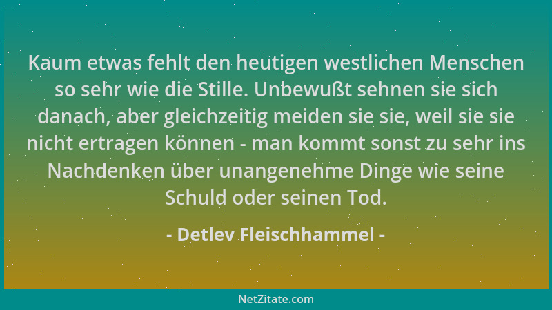 Detlev Fleischhammel - Kaum etwas fehlt den heutigen westlichen Menschen so sehr wie die Stille. Unbewußt sehnen sie sich d...