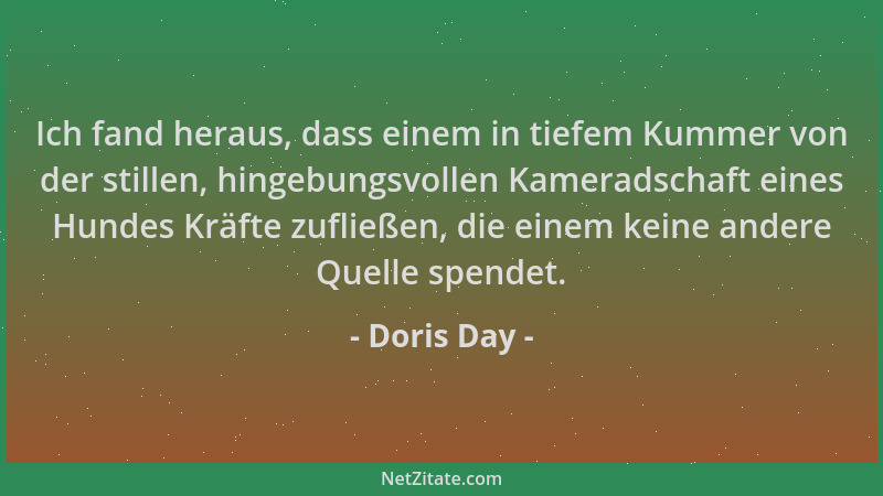 Doris Day - Ich fand heraus, dass einem in tiefem Kummer von der stillen, hingebungsvollen Kameradschaft eines Hundes Kräft...