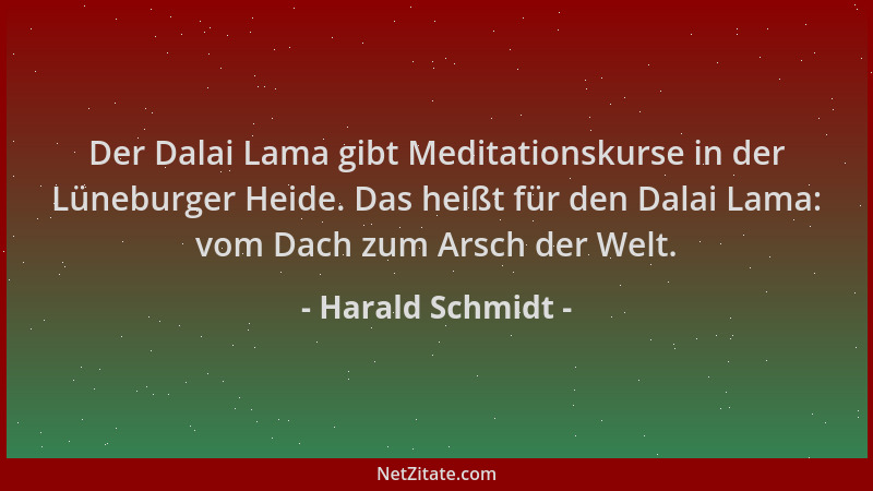 Harald Schmidt - Der Dalai Lama gibt Meditationskurse in der Lüneburger Heide. Das heißt für den Dalai Lama: vom Dach zum A...