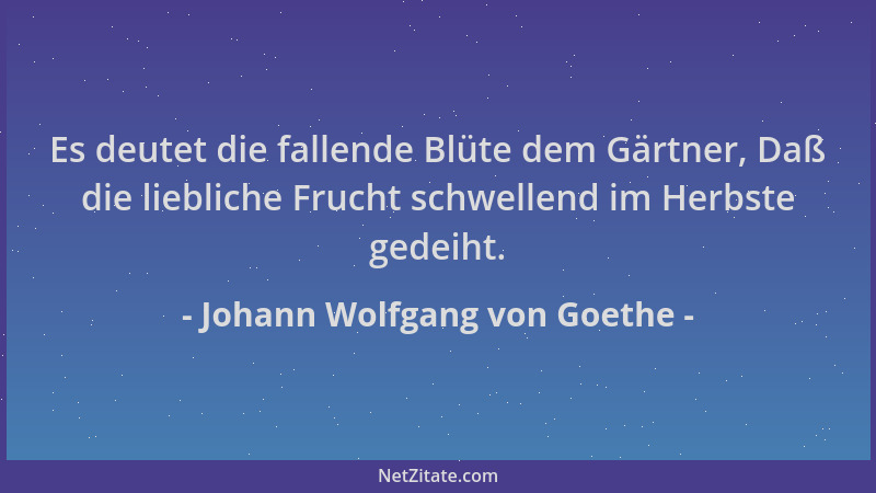 Johann Wolfgang von Goethe - Es deutet die fallende Blüte dem Gärtner, Daß die liebliche Frucht schwellend im Herbste gedei...