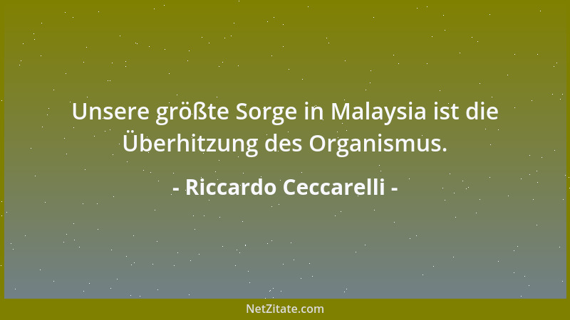 Riccardo Ceccarelli - Unsere größte Sorge in Malaysia ist die Überhitzung des Organismus....