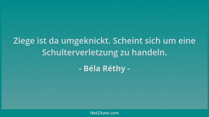 Béla Réthy - Ziege ist da umgeknickt. Scheint sich um eine Schulterverletzung zu handeln....