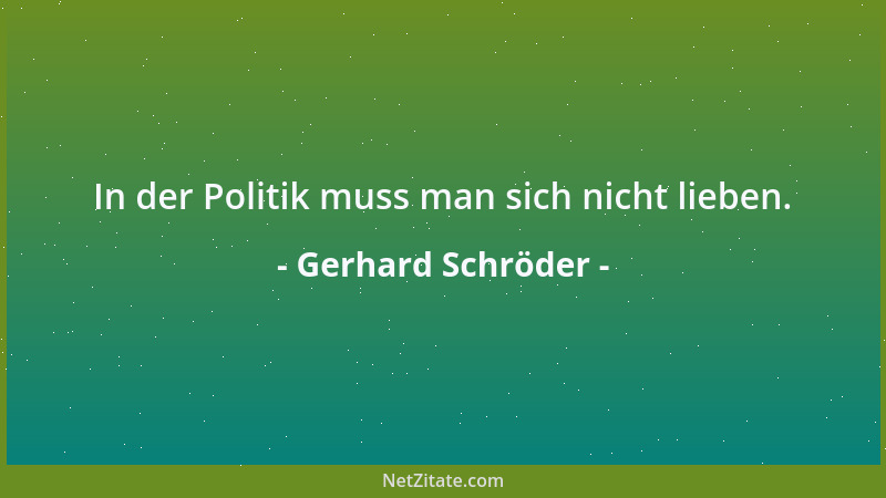 Gerhard Schröder - In der Politik muss man sich nicht lieben....
